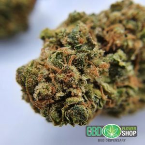 AK-47 Tea Flowers CBD Bud Dispensary