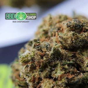 Dispensário AK-47 Tea Flowers CBD Bud