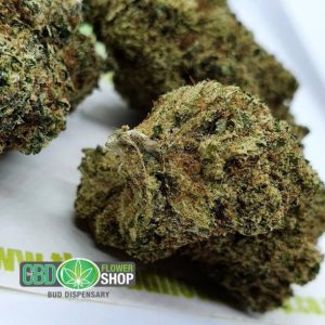 Lemon Punch CBD blomst Shop Bud Dispensary