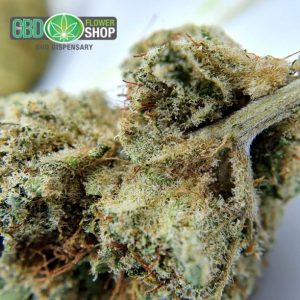 Lemon Punch CBD Floristería Bud Dispensario