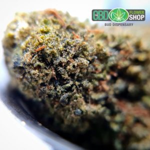 CBD White Widow Tea Blomster