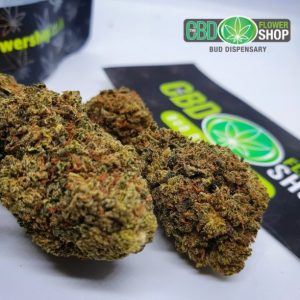 CBD White Widow Tea Blomster