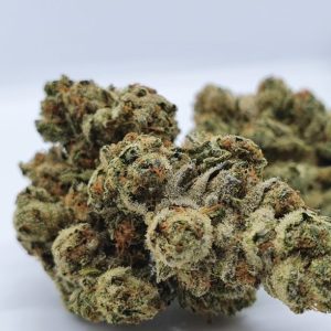 CBD Chocolope Thee Bloemen