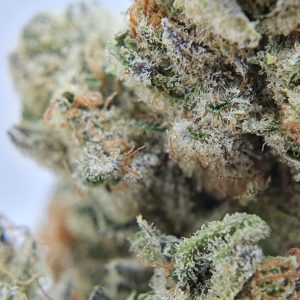 CBD Chocolope Thee Bloemen