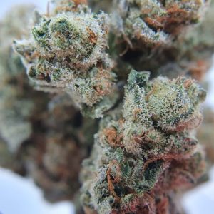 CBD Chocolope Thee Bloemen