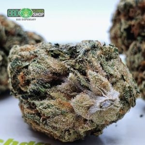 Flores de chá CBD OG Kush