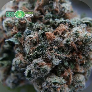 Flores de chá CBD OG Kush