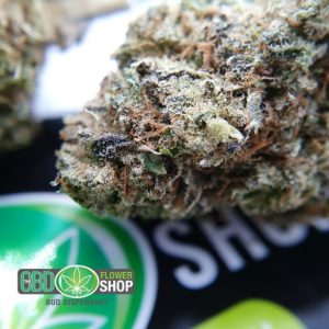 Flores de chá de baunilha Kush CBD