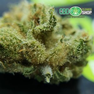 CBD Teblomst Vanilje Kush