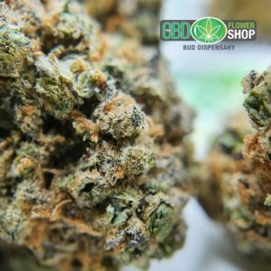 Čajové květy Platinum OG CBD Bud Dispensary