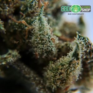 Flor de té CBD Pineapple Crush