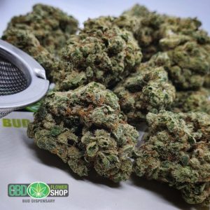 CBD-knopper