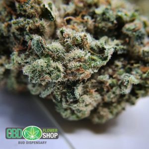 Bud Shop CBD-Blumenladen