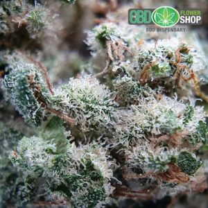 CBD Knop Blad